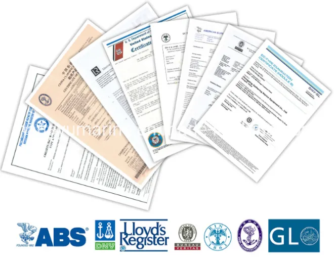 4~12 Persons Marine Inflatable Liferaft ISO9650 Leisure Life Raft