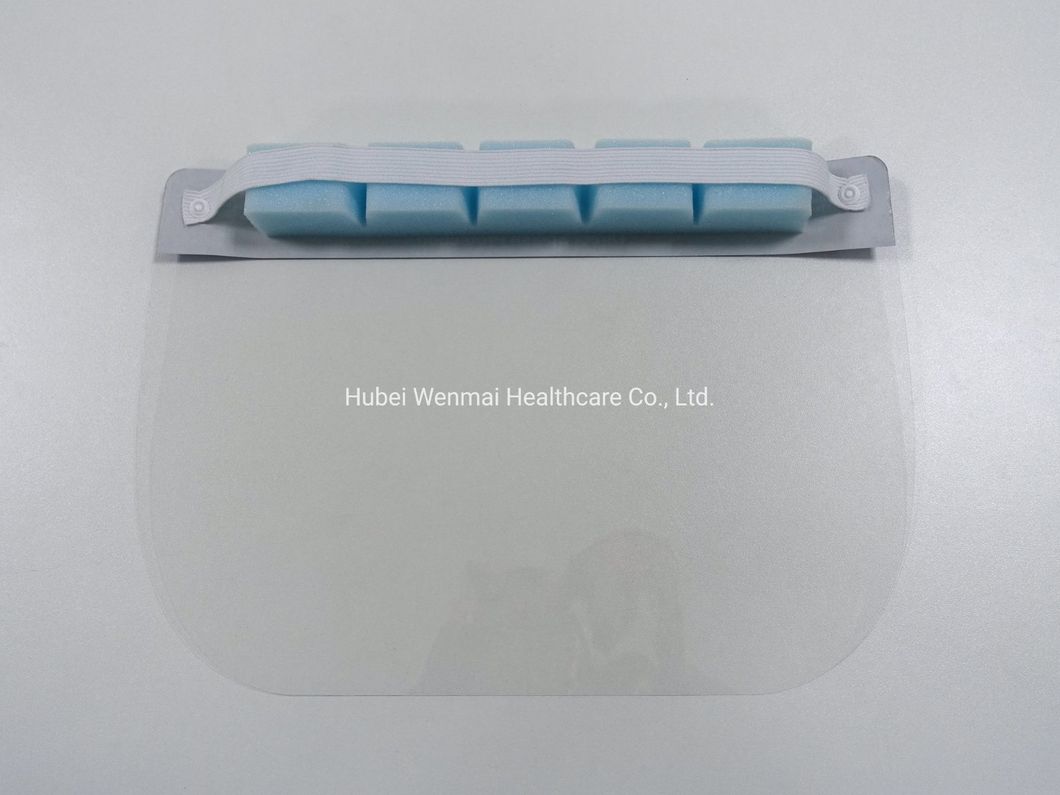 Best Professional Safety Hygiene Splash Isolation Disposable Protective Anti-Fog Clear Plastic Pet Face Shield with Glasses Frame Eye Protection