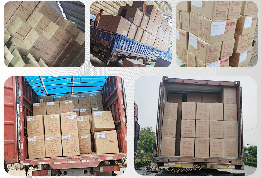 Chemical Protective Face Mask Professional Supplier