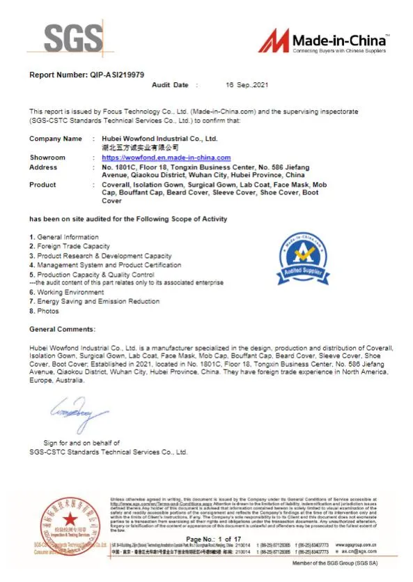 Disposable 3 Ply Non Woven Face Mask Respiratory Mask with Elastic Earloop