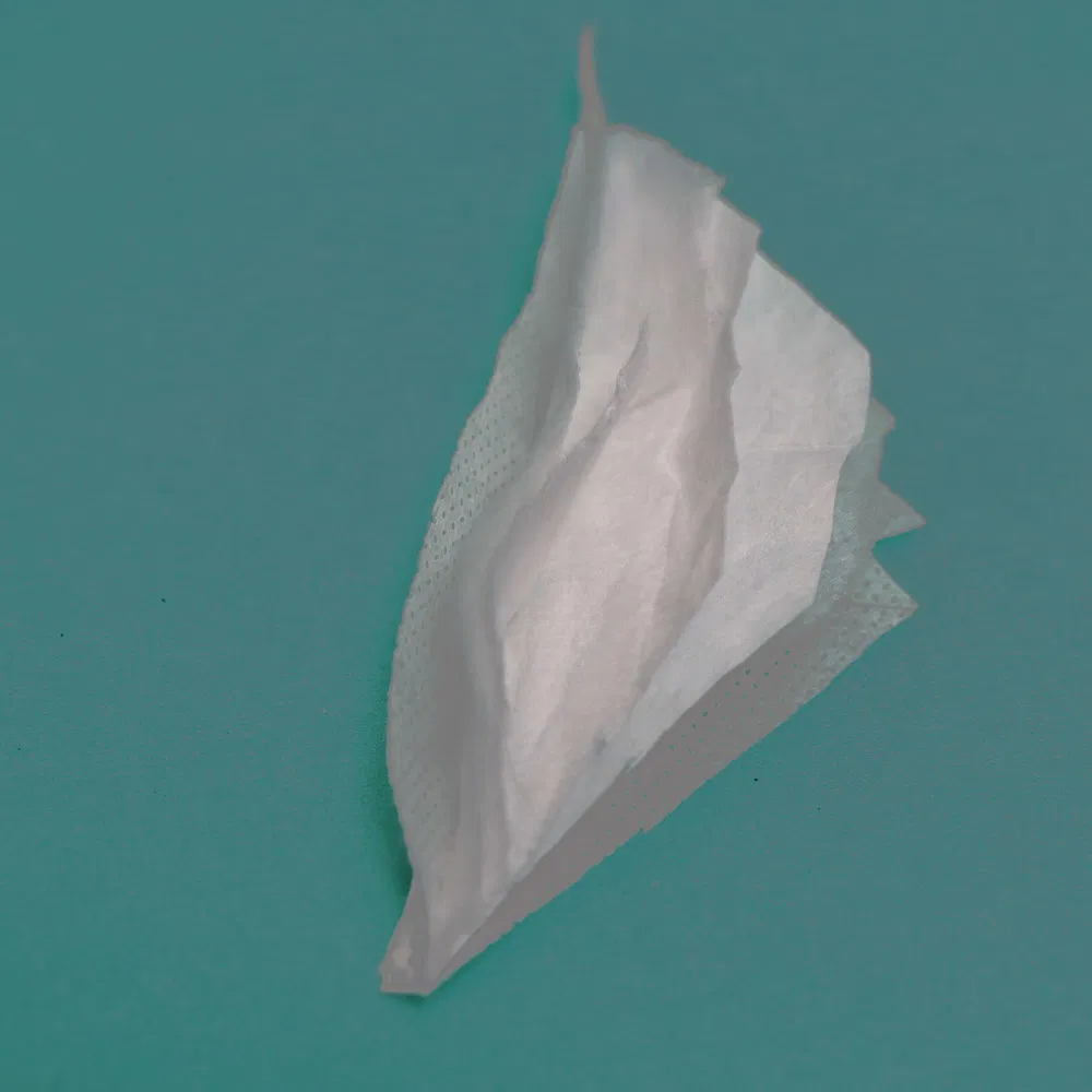 Disposable Non-Woven 2 Ply/3 Ply Earloop  Face Mask/N95 Mask