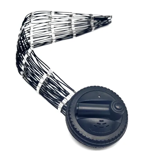 EAS Tag Wrap Tag Self Alarm Anti-Theft