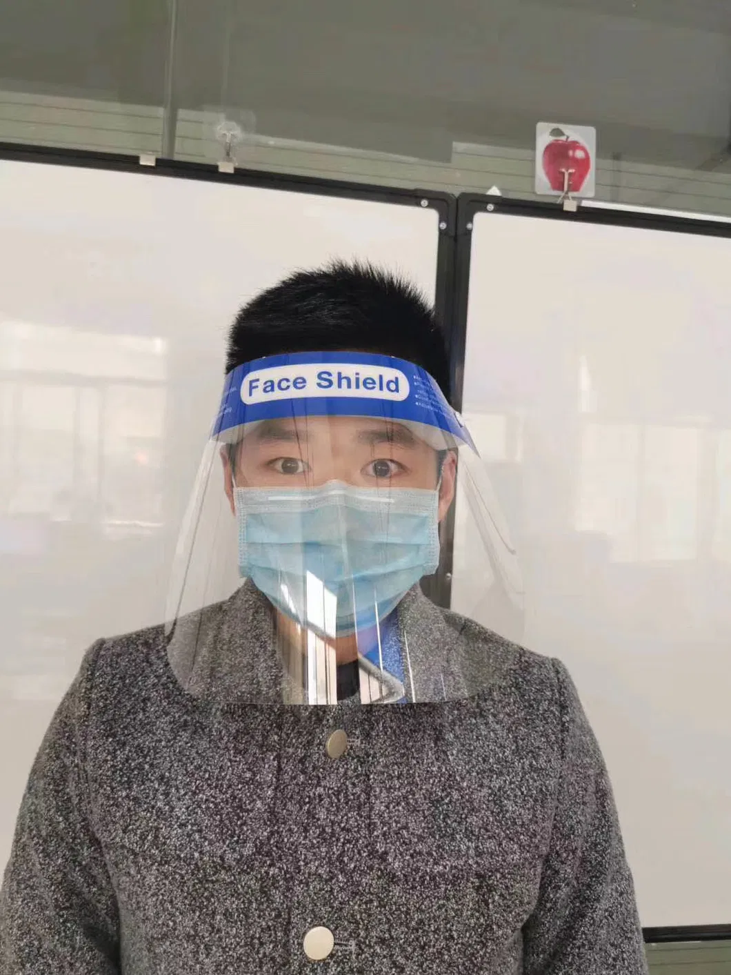 in Stock Fog Transparent Pet Plastic Eyes Mouth Nose Protection Face Shield